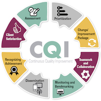 A thumbnail image of the C-Q-I cycle