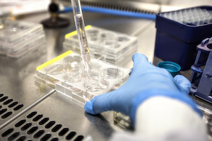 A close up of a pipette and science samples. 